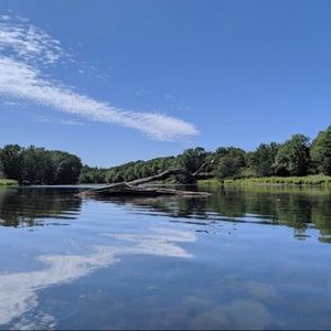 Meet your Posher, Mallory